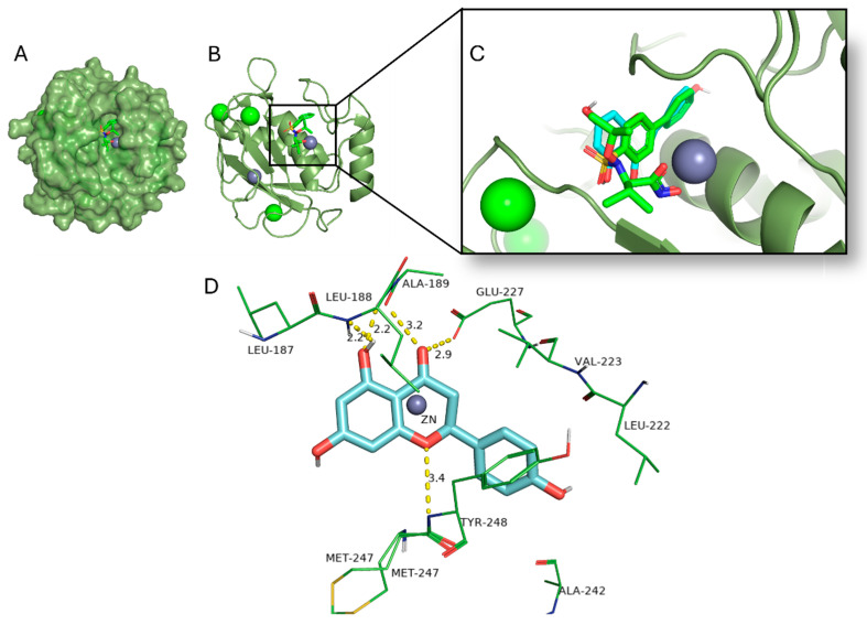 Figure 5