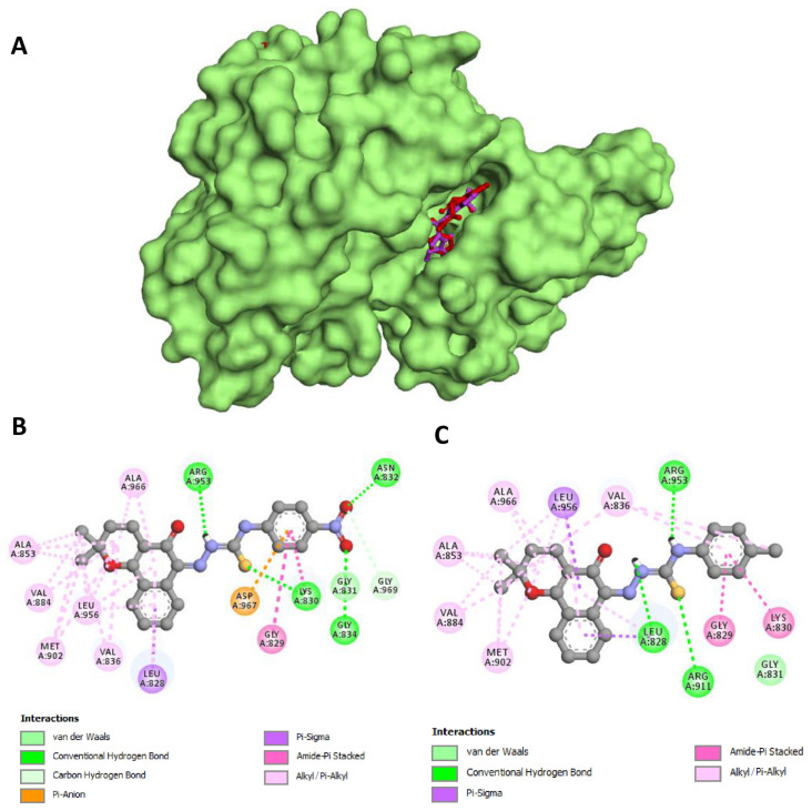Figure 6