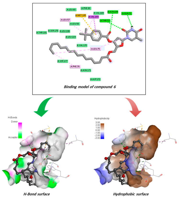 Figure 16