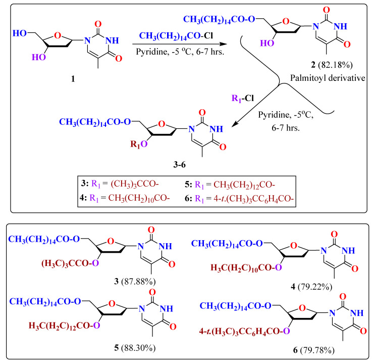 Figure 24