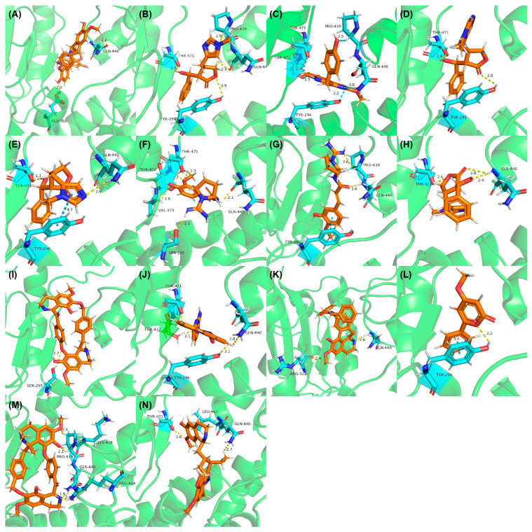 Figure 4