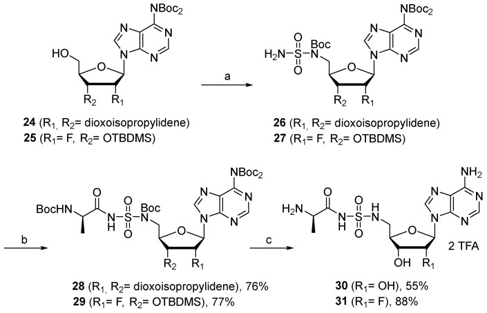 Figure 20
