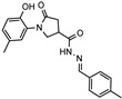 Figure 17