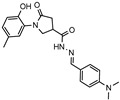 Figure 19