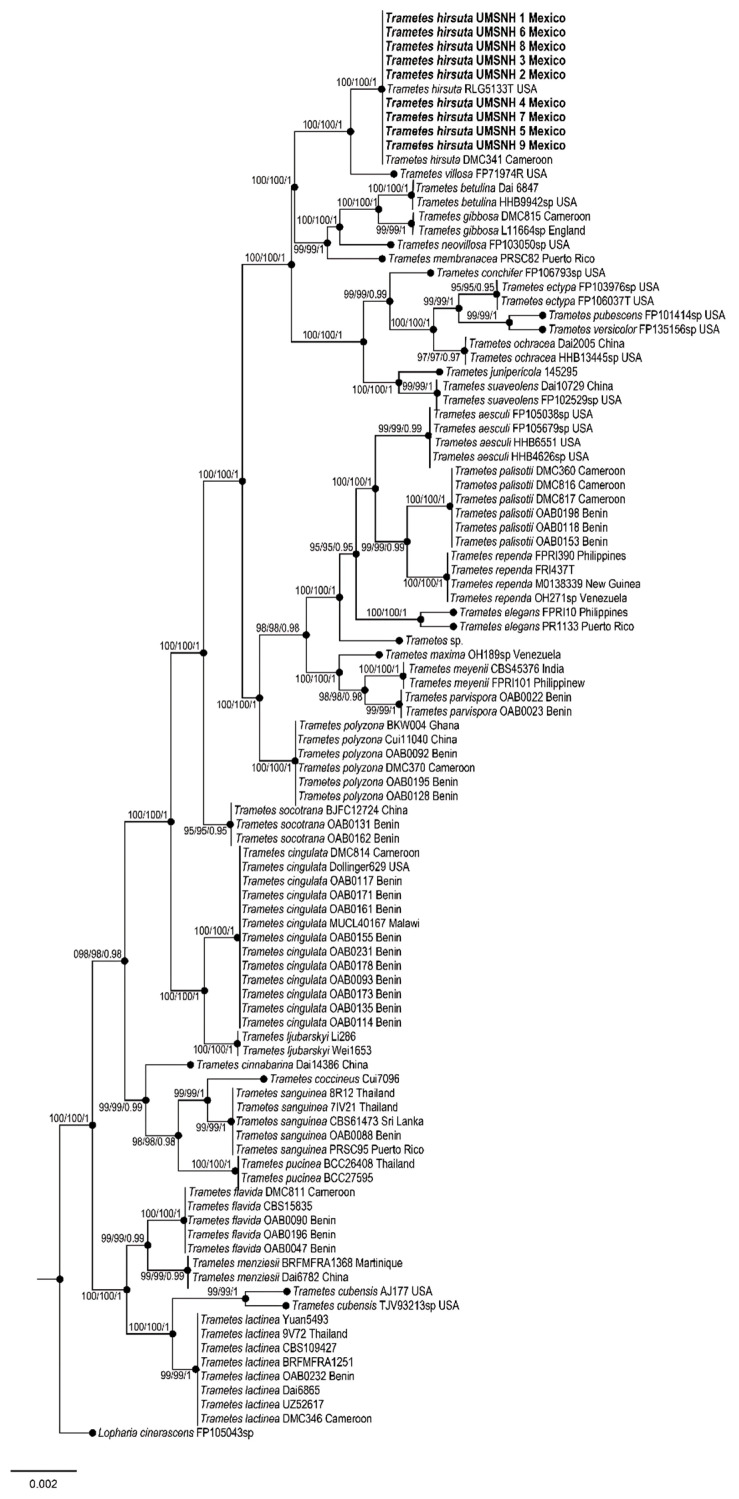 Figure 4