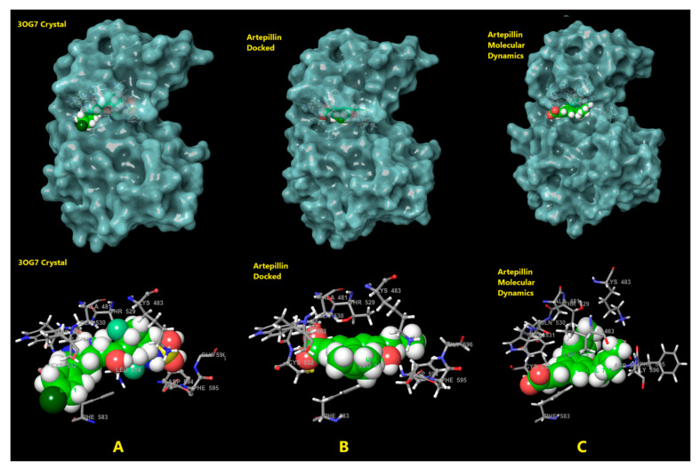 Figure 6