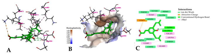 Figure 7