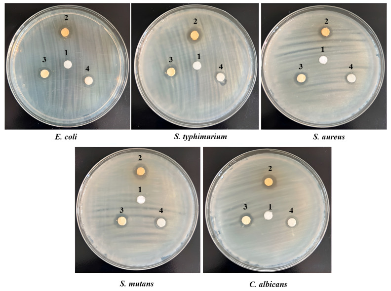 Figure 10