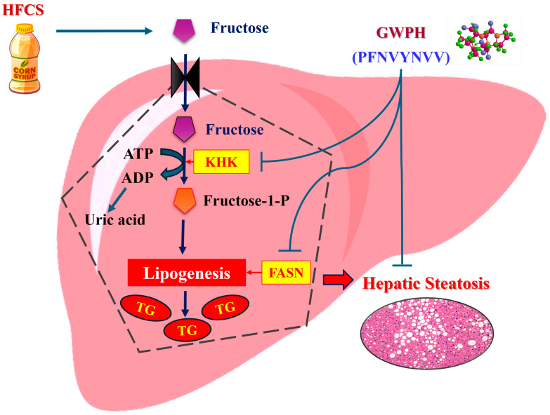 Figure 9