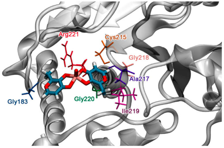 Figure 6