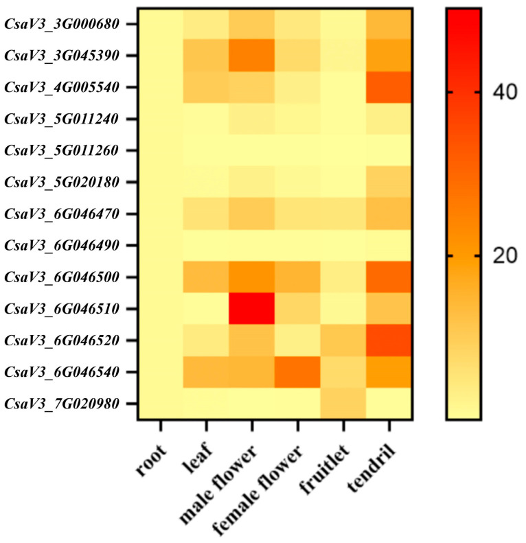 Figure 6