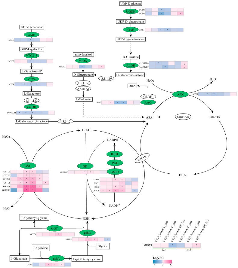 Figure 12