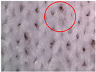 Figure 20