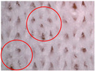 Figure 21