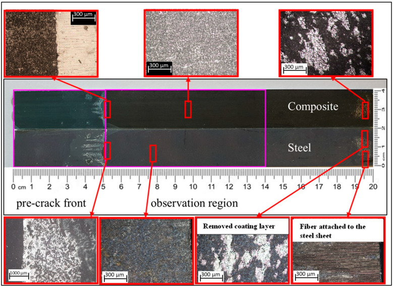 Figure 13