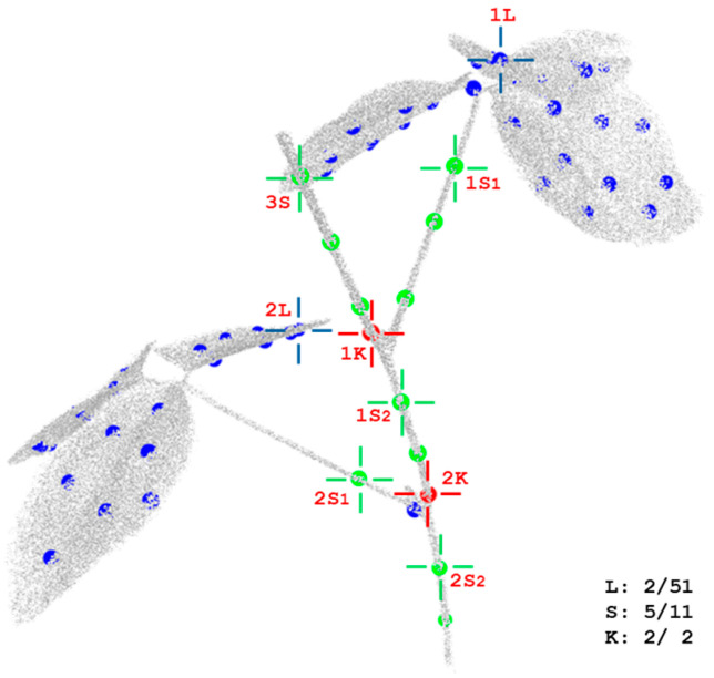 Figure 10