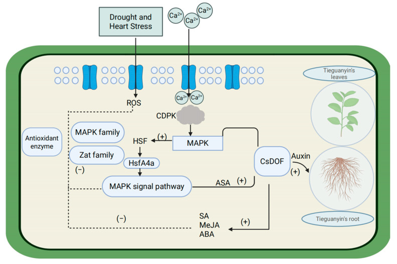 Figure 15