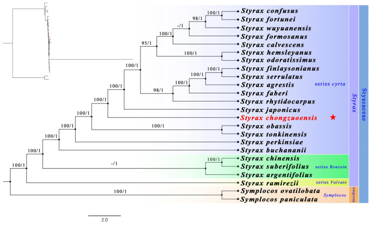 Figure 6