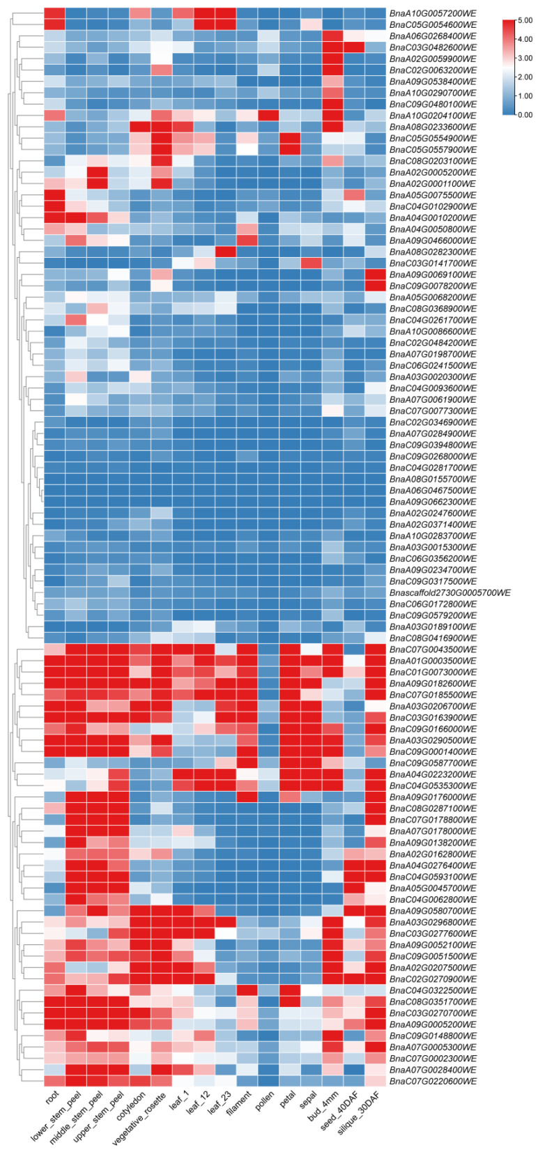 Figure 7