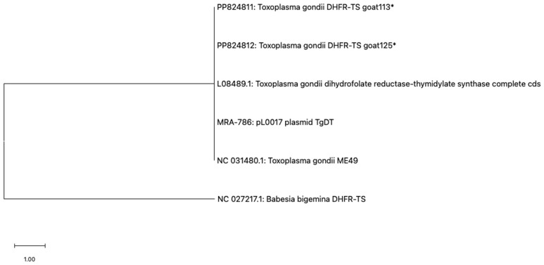 Figure 5