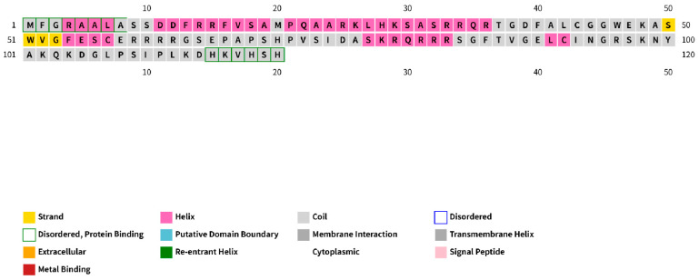 Figure 11