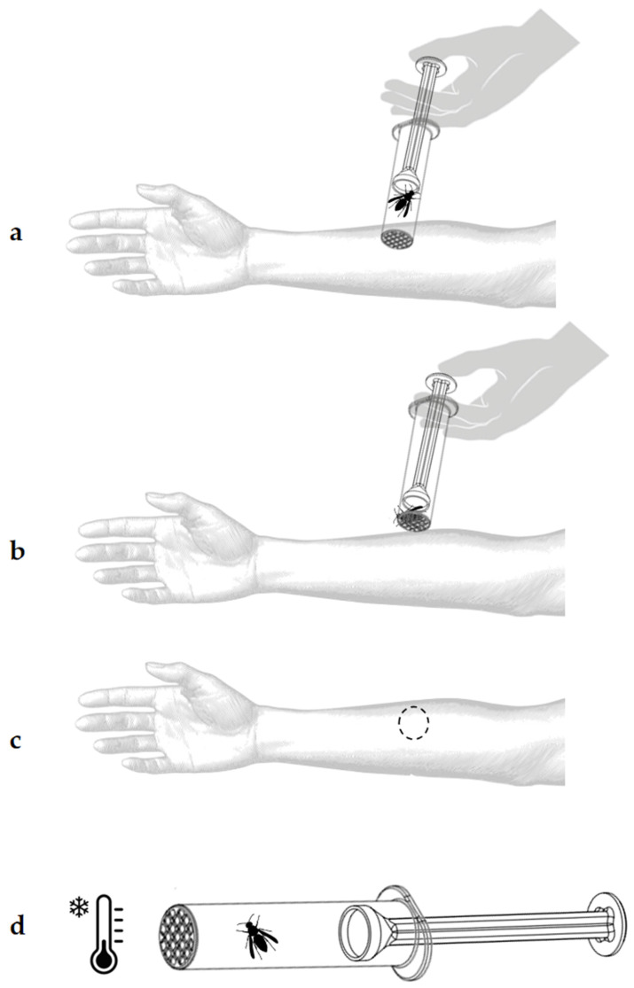 Figure 10