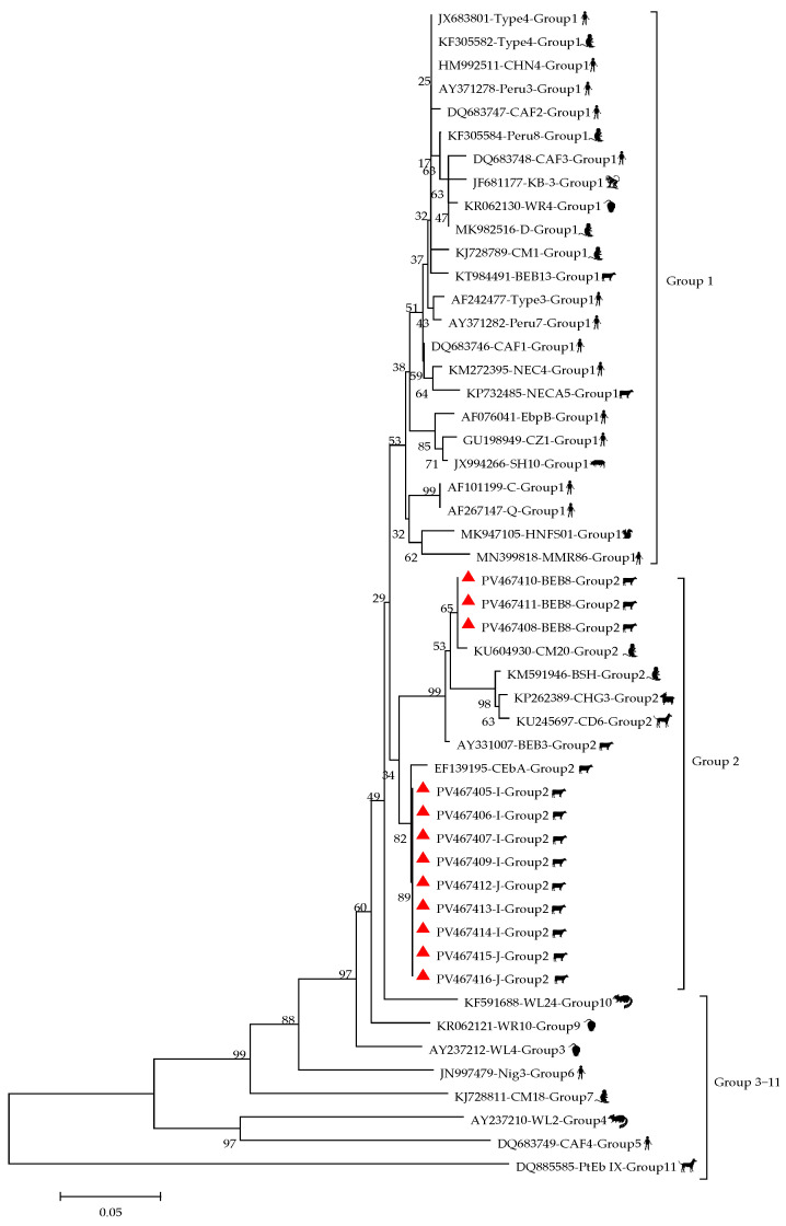 Figure 2