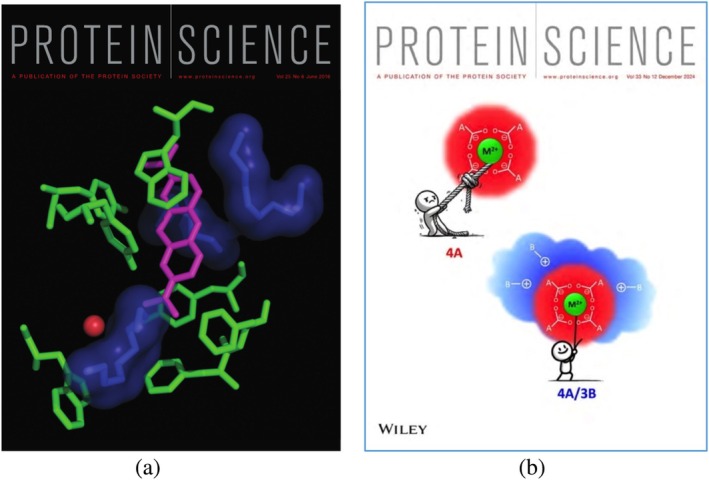 Figure 5