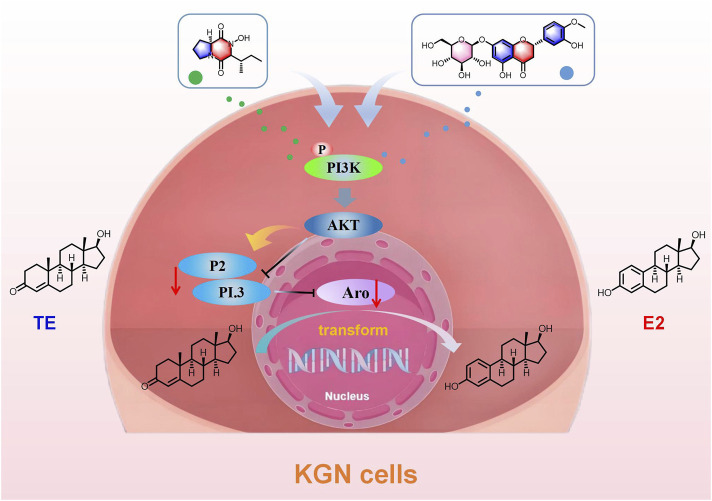 Figure 12