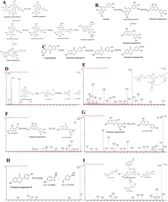 Figure 13