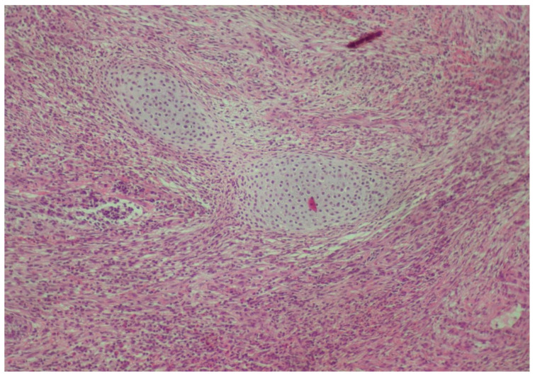 Figure 10