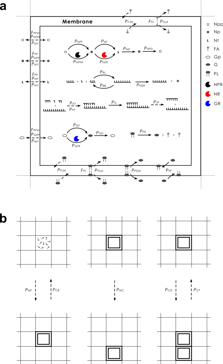 Fig 7