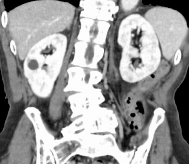Fig. 5