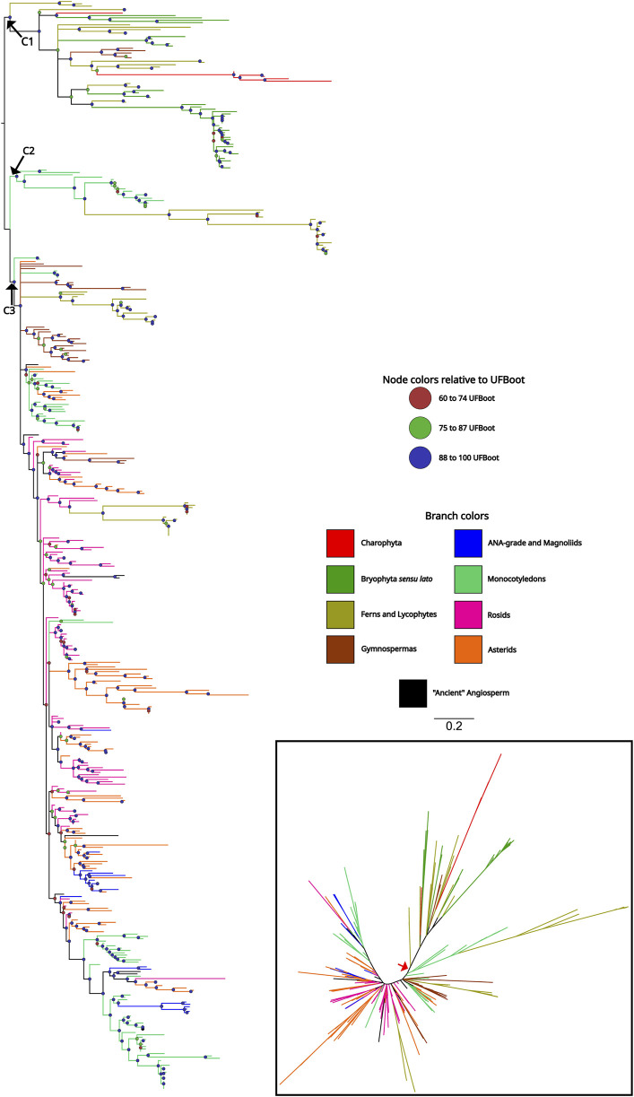 FIGURE 2