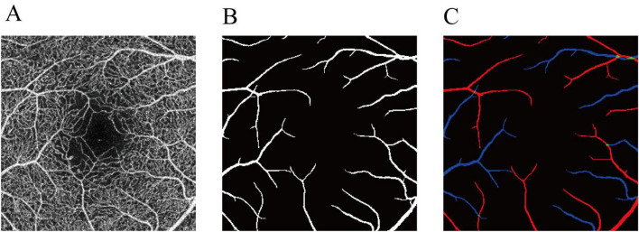 FIGURE 1