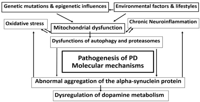 FIGURE 1