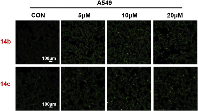 FIGURE 9