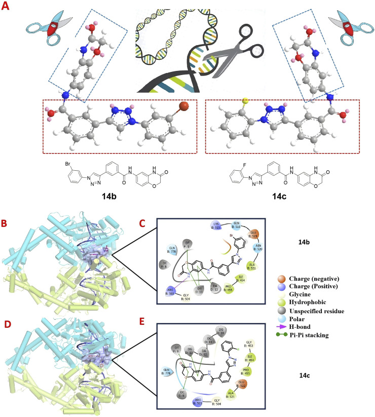 FIGURE 10