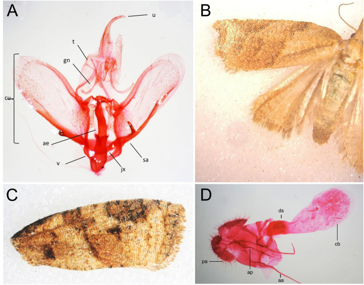 Figure 2