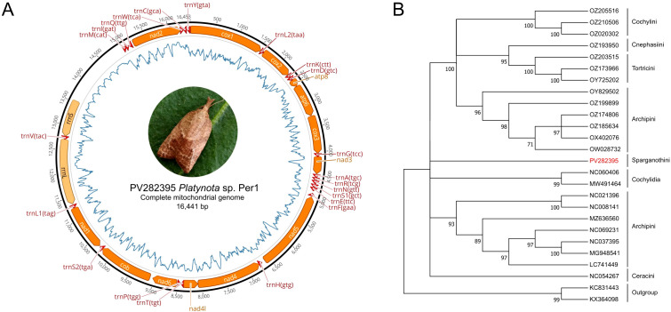 Figure 4