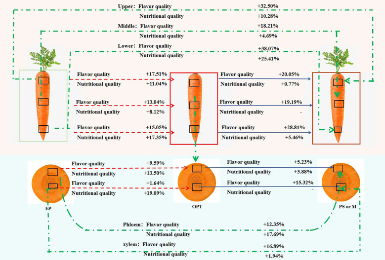 Figure 6