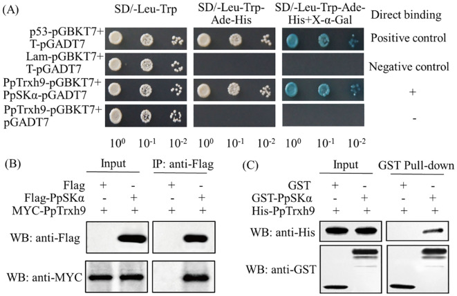 Figure 3