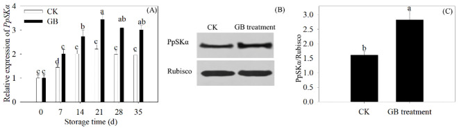 Figure 5