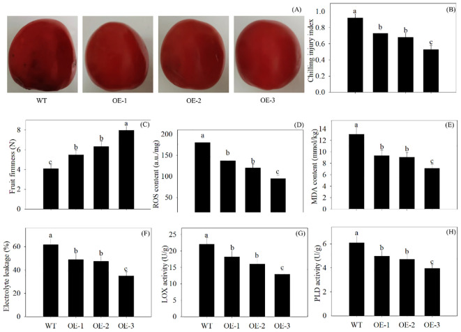 Figure 6