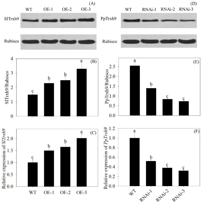Figure 9