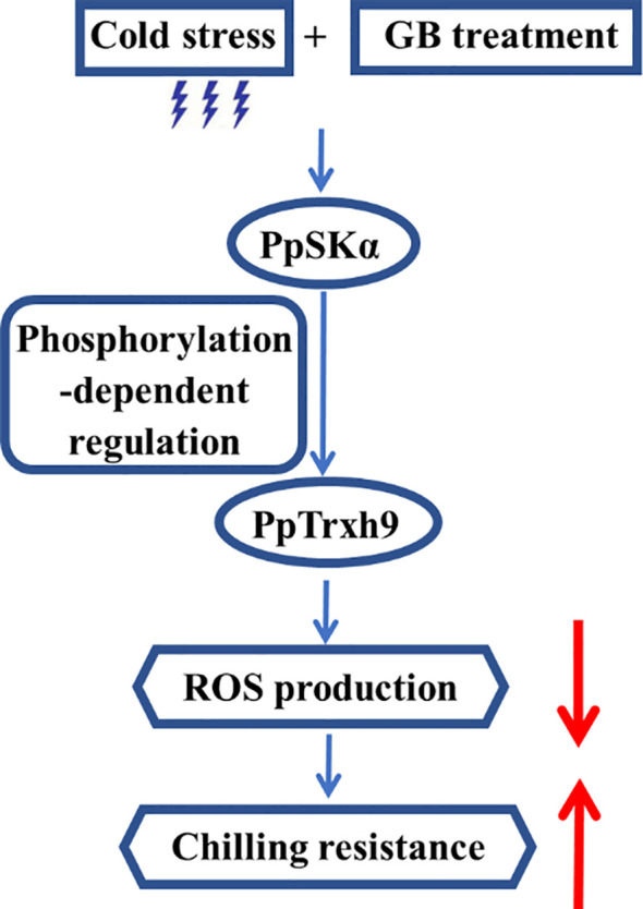Figure 10