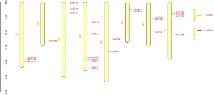 Figure 2
