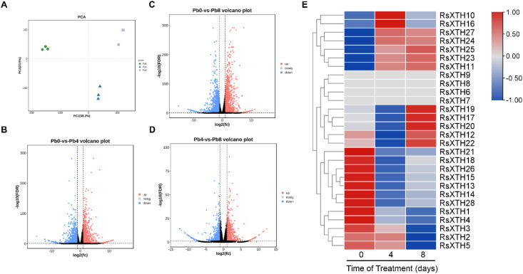 Figure 4