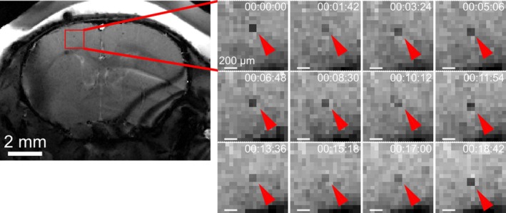 FIGURE 2