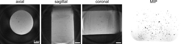 FIGURE 3